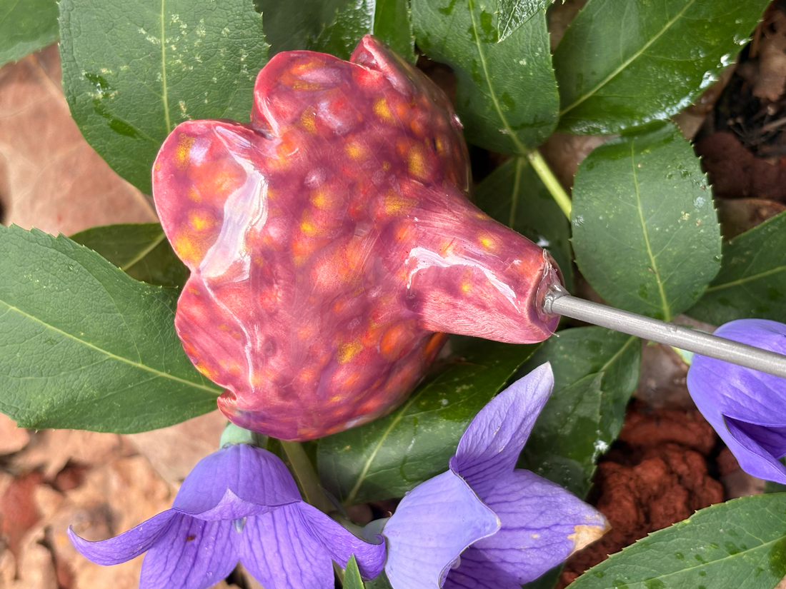 Pollinator Cups