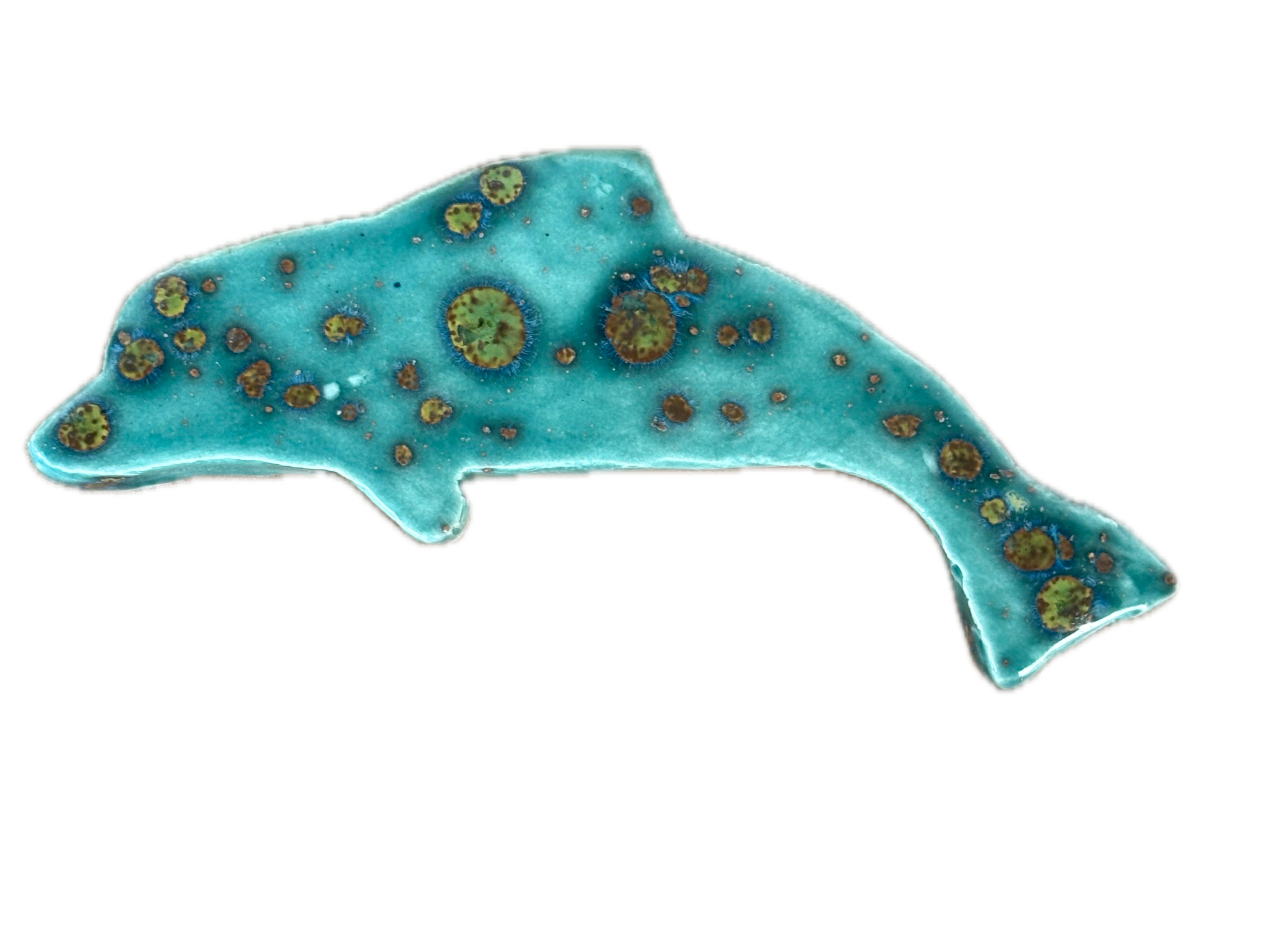 Dolphin Magnet