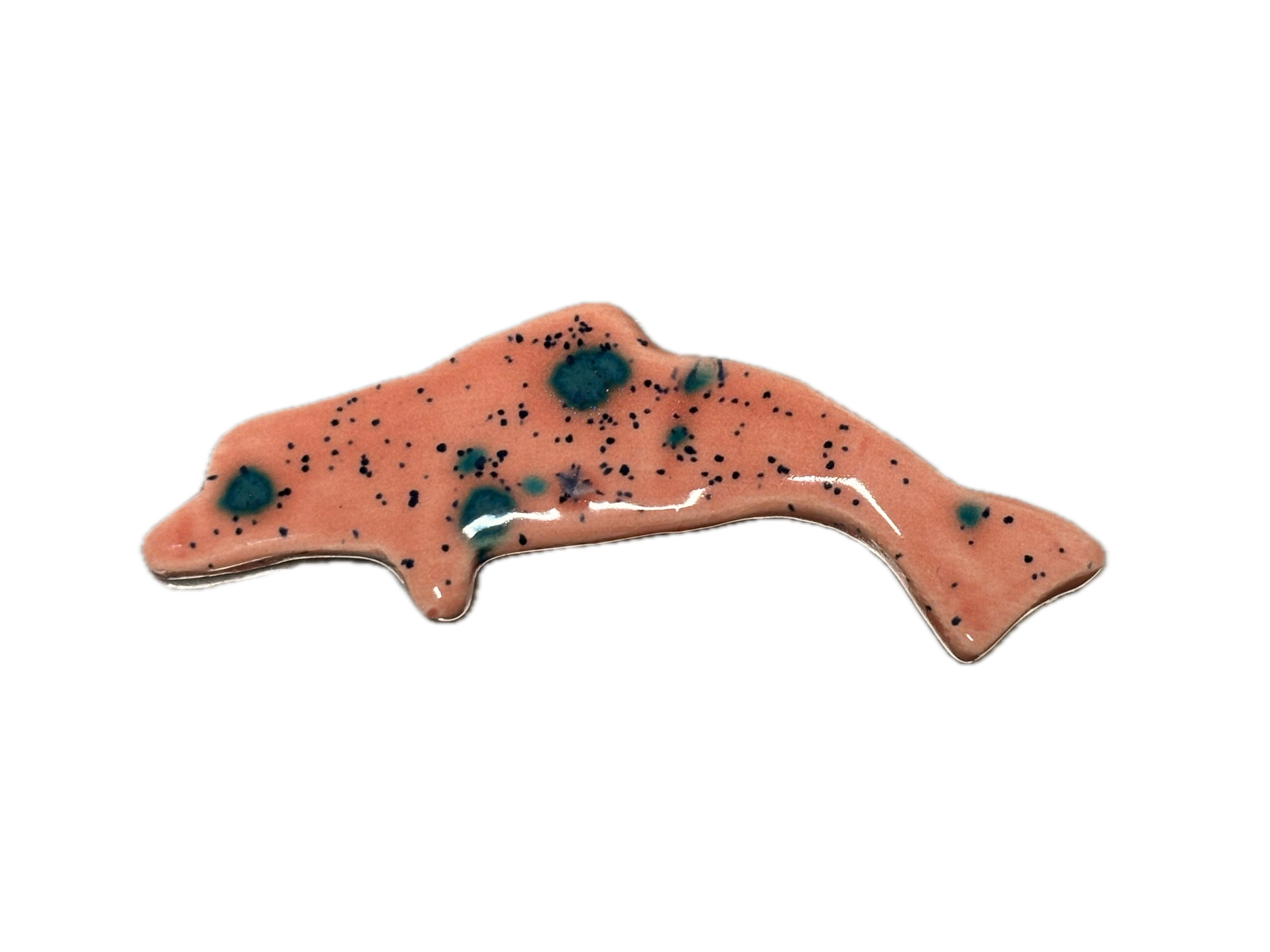 Dolphin Magnet