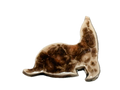 Sea Lion Magnet