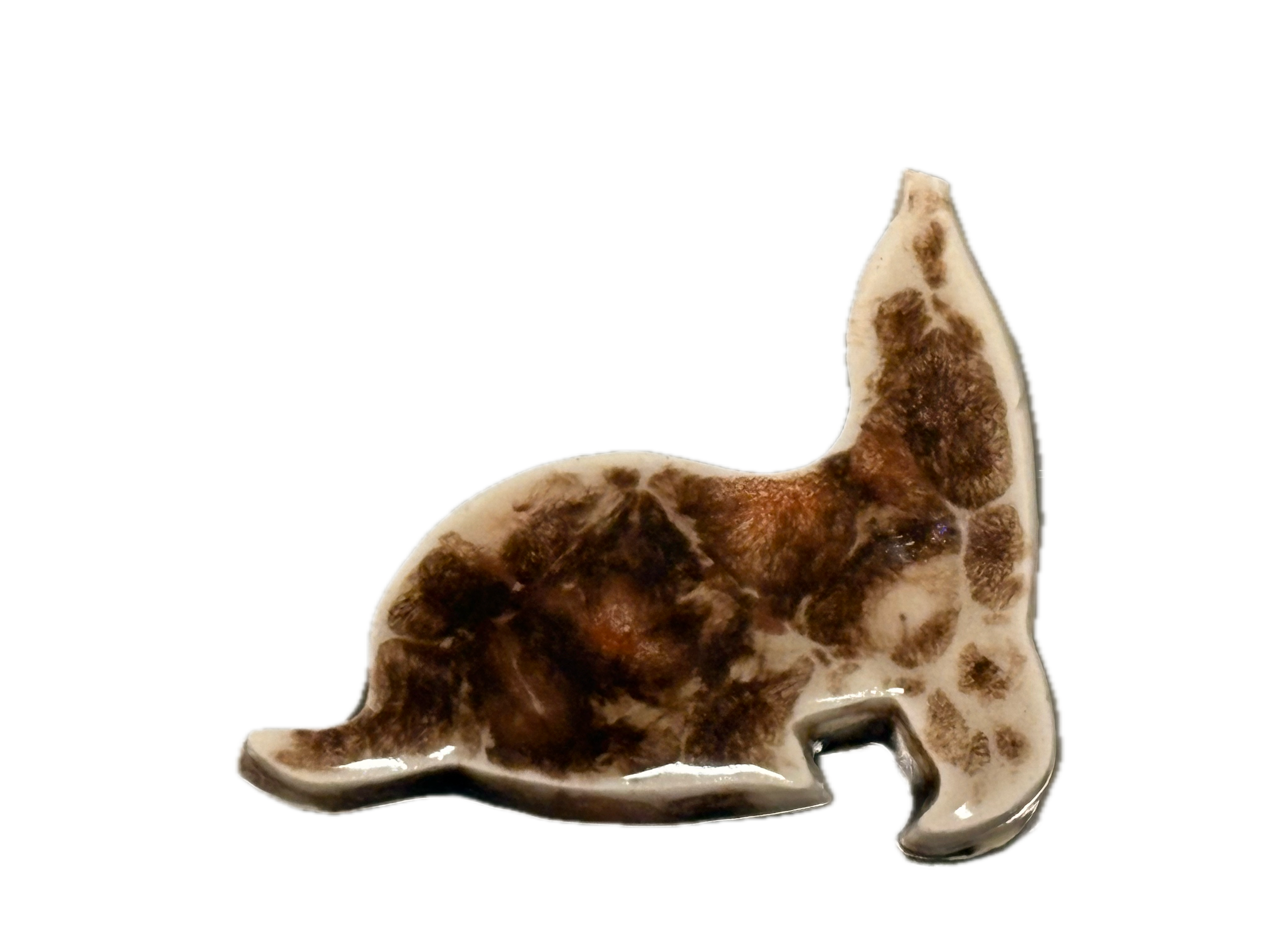 Sea Lion Magnet
