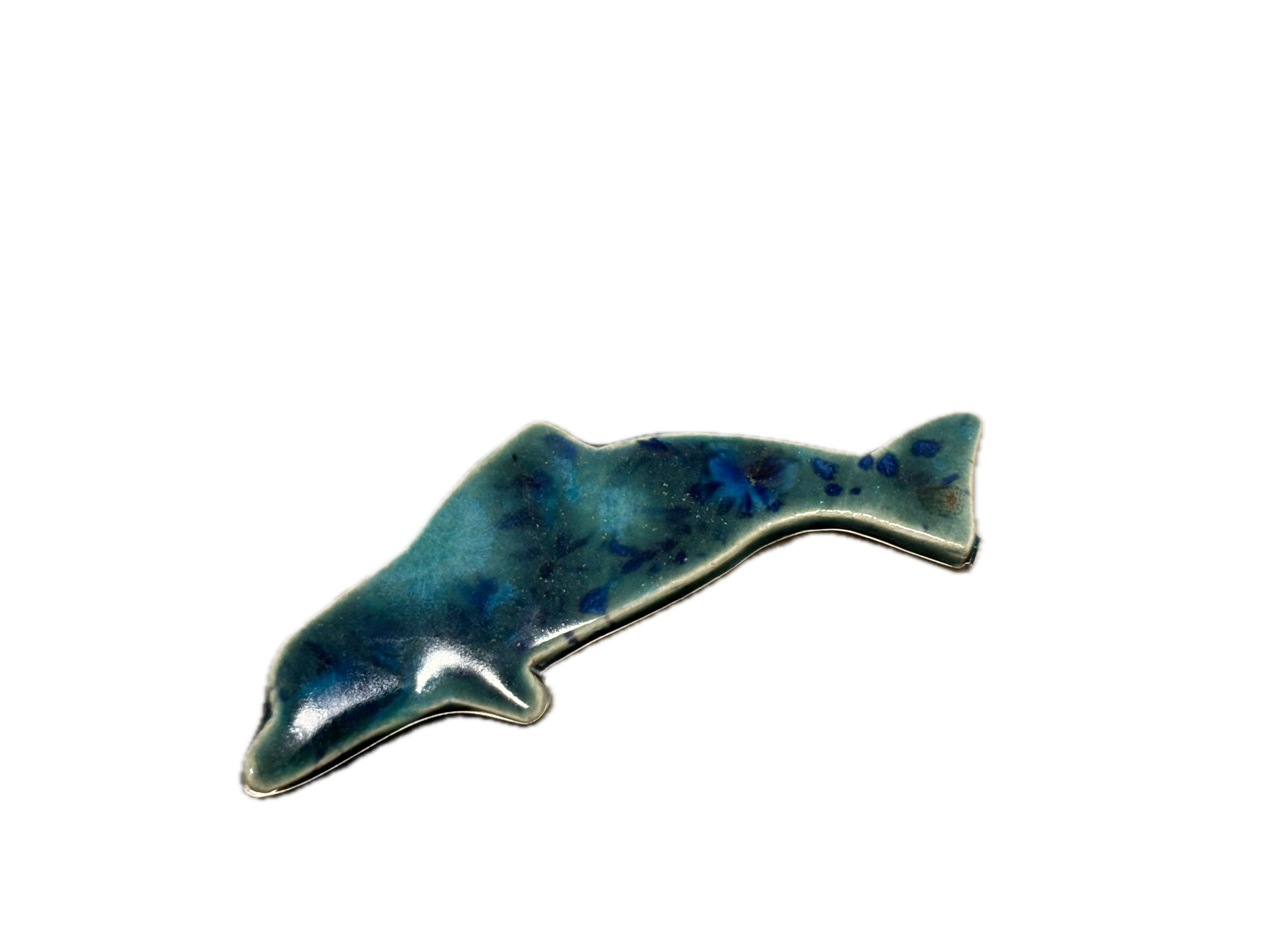Dolphin Magnet