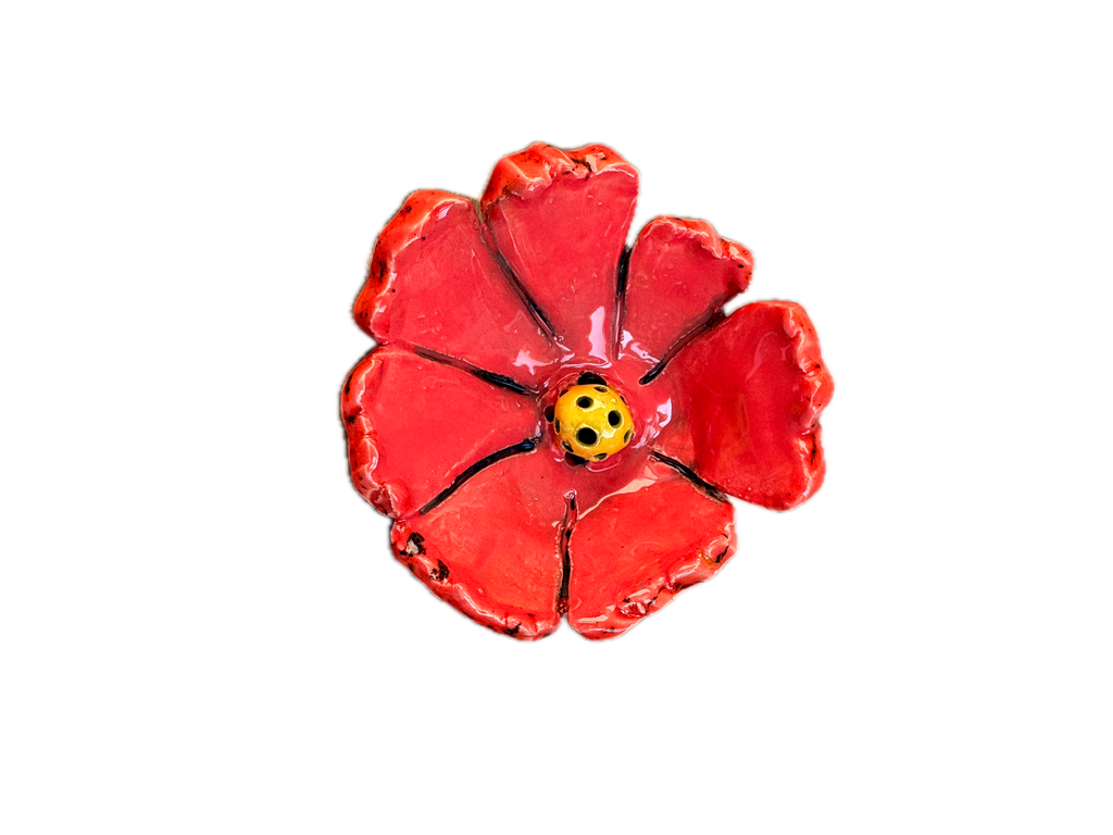 Day Lily/Cutie-Pie-Coral