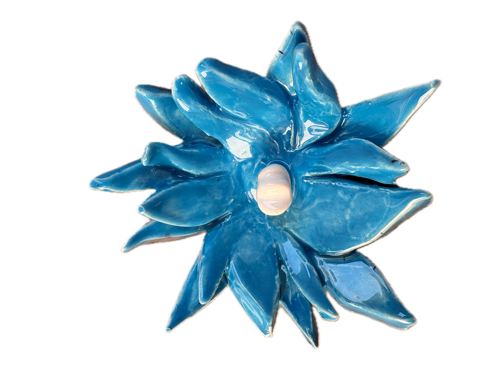 Monsoon Seas/Light Blue