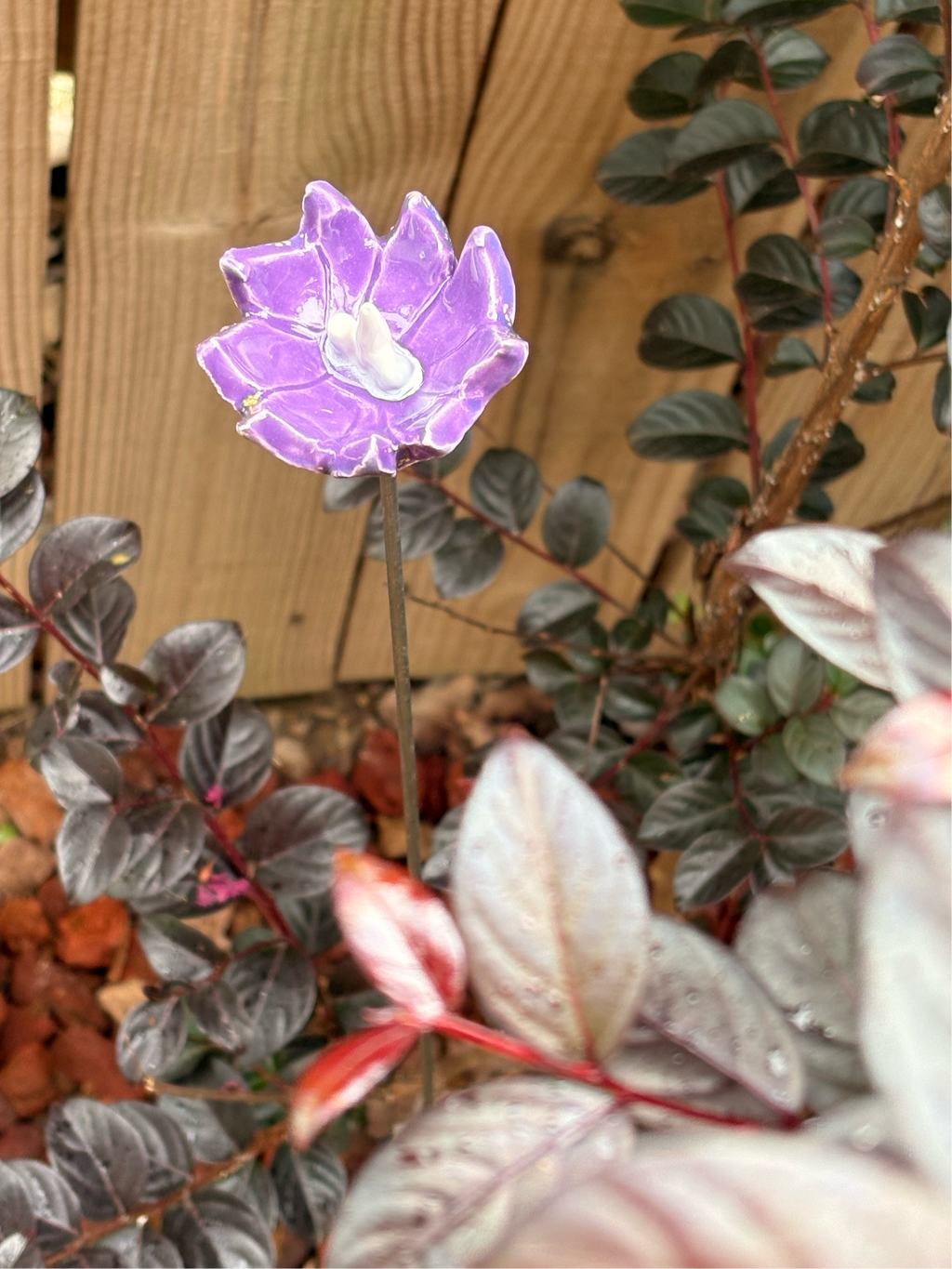 Periwinkle Skies Pollinator Cup