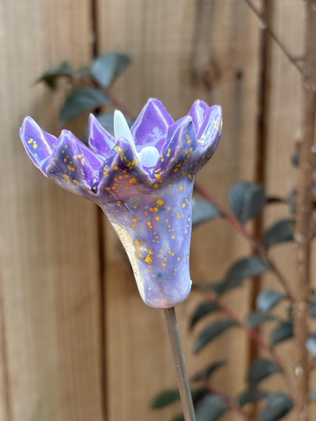 Periwinkle Skies Pollinator Cup