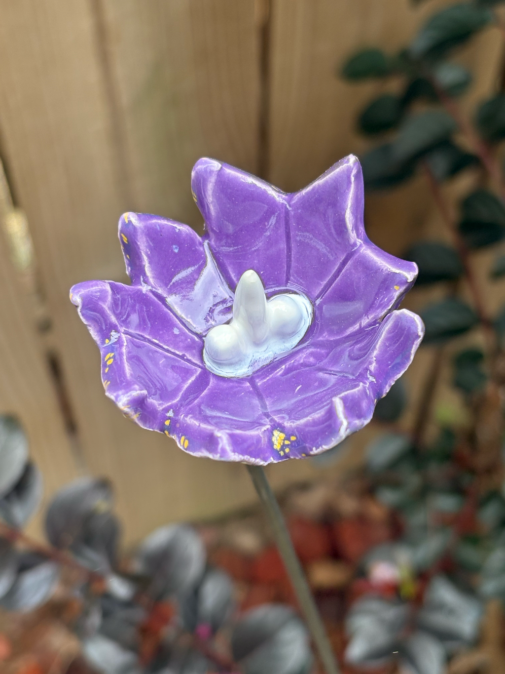 Periwinkle Skies Pollinator Cup