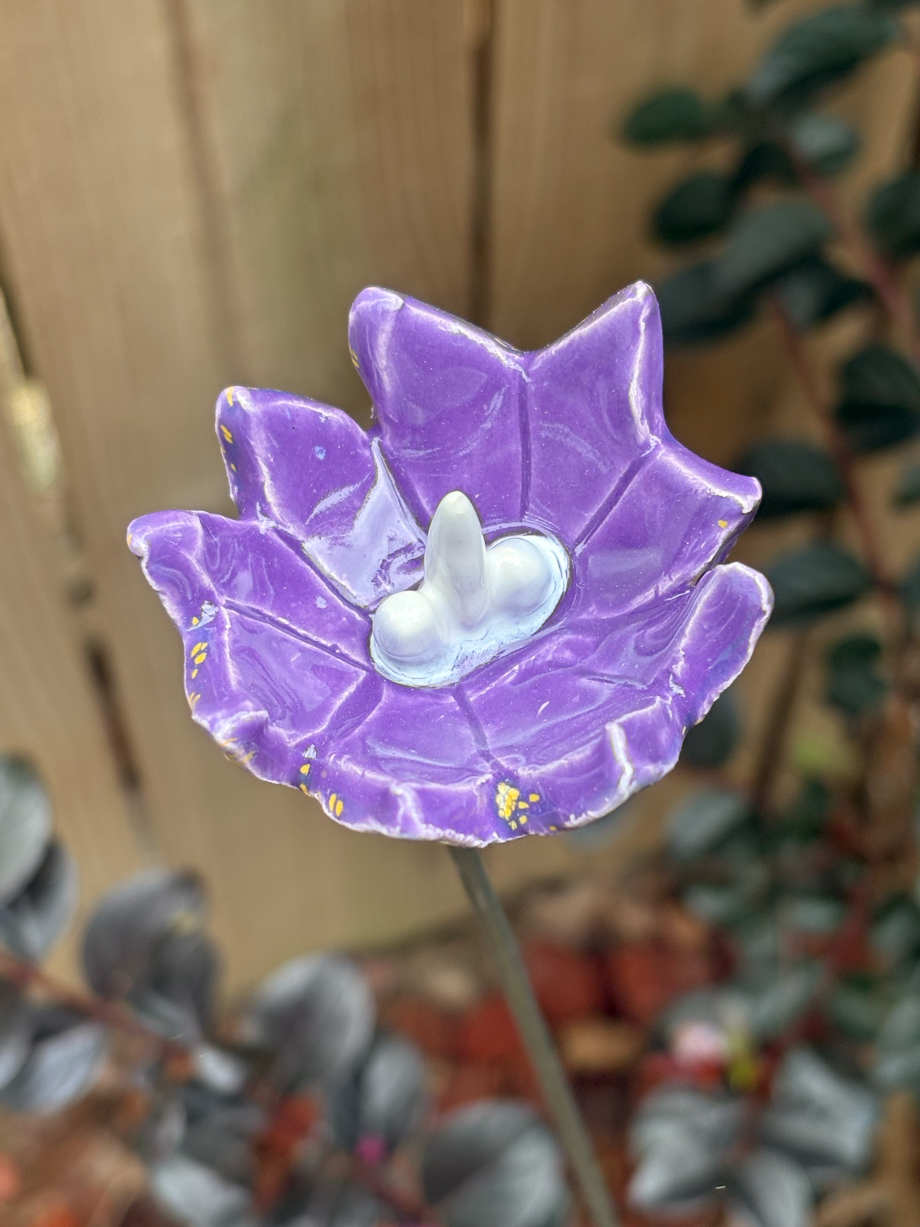 Periwinkle Skies Pollinator Cup