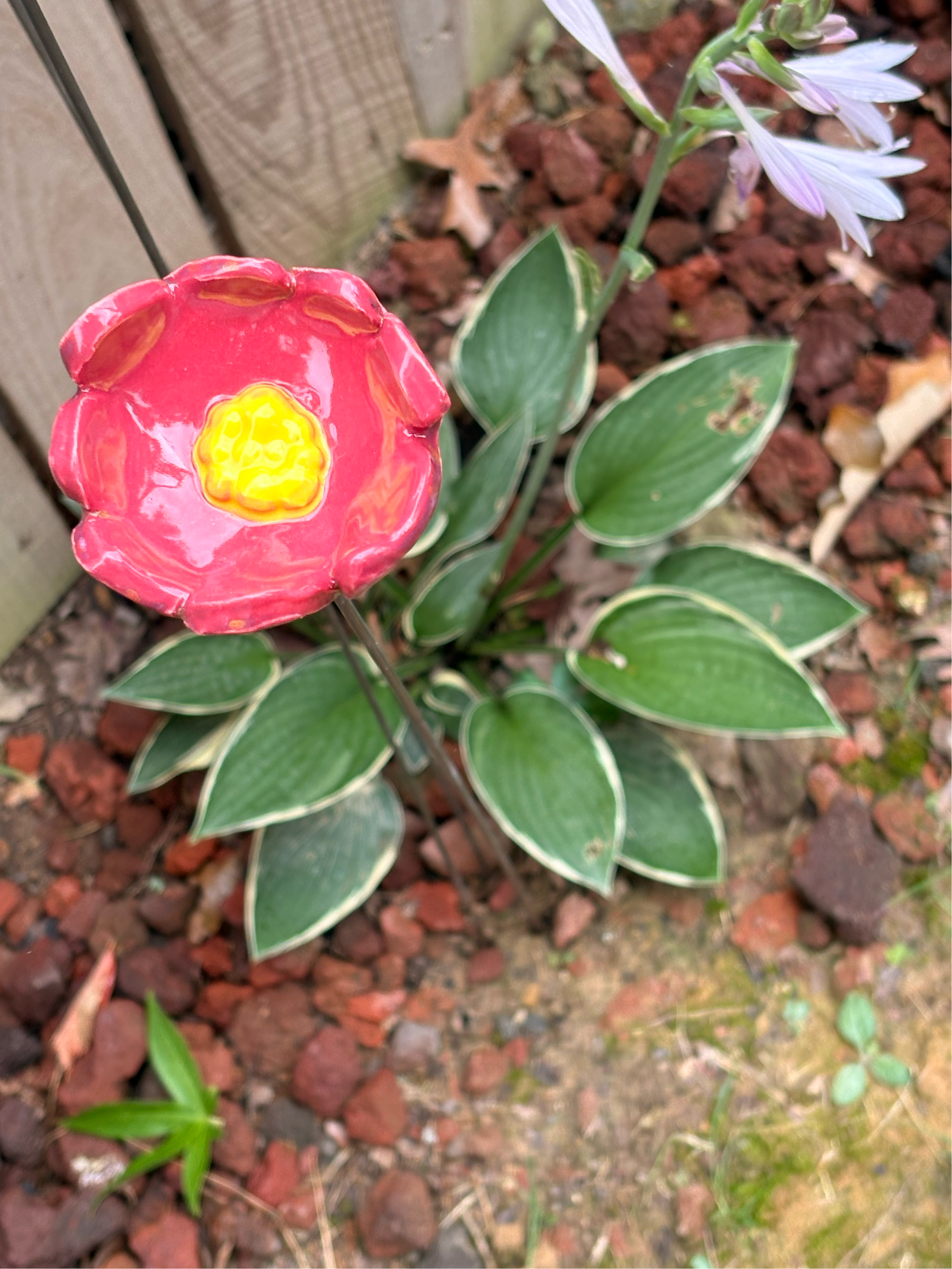Floral Fantasy Pollinator Cup