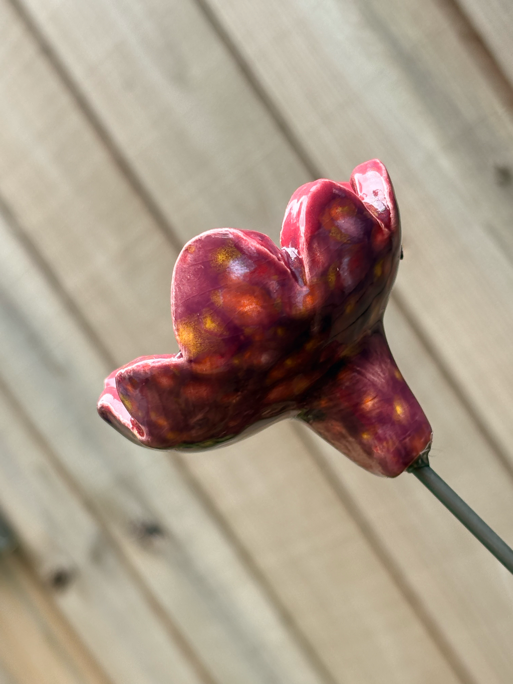 Floral Fantasy Pollinator Cup