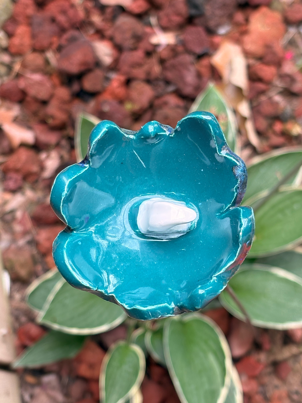 Blue Azure Pollinator Cup