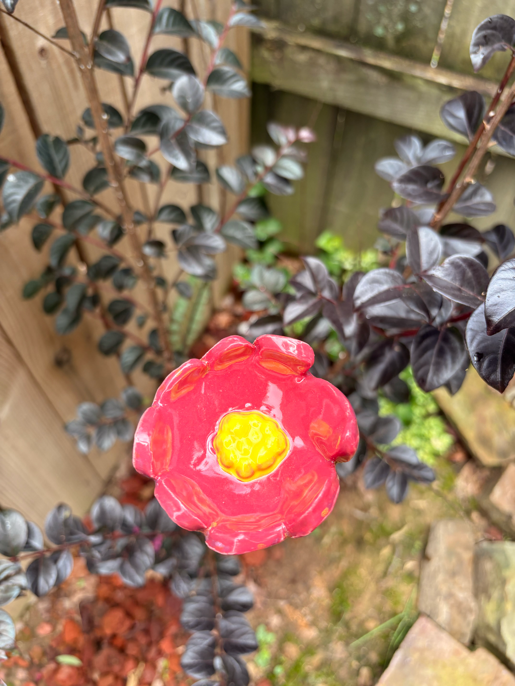 Floral Fantasy Pollinator Cup