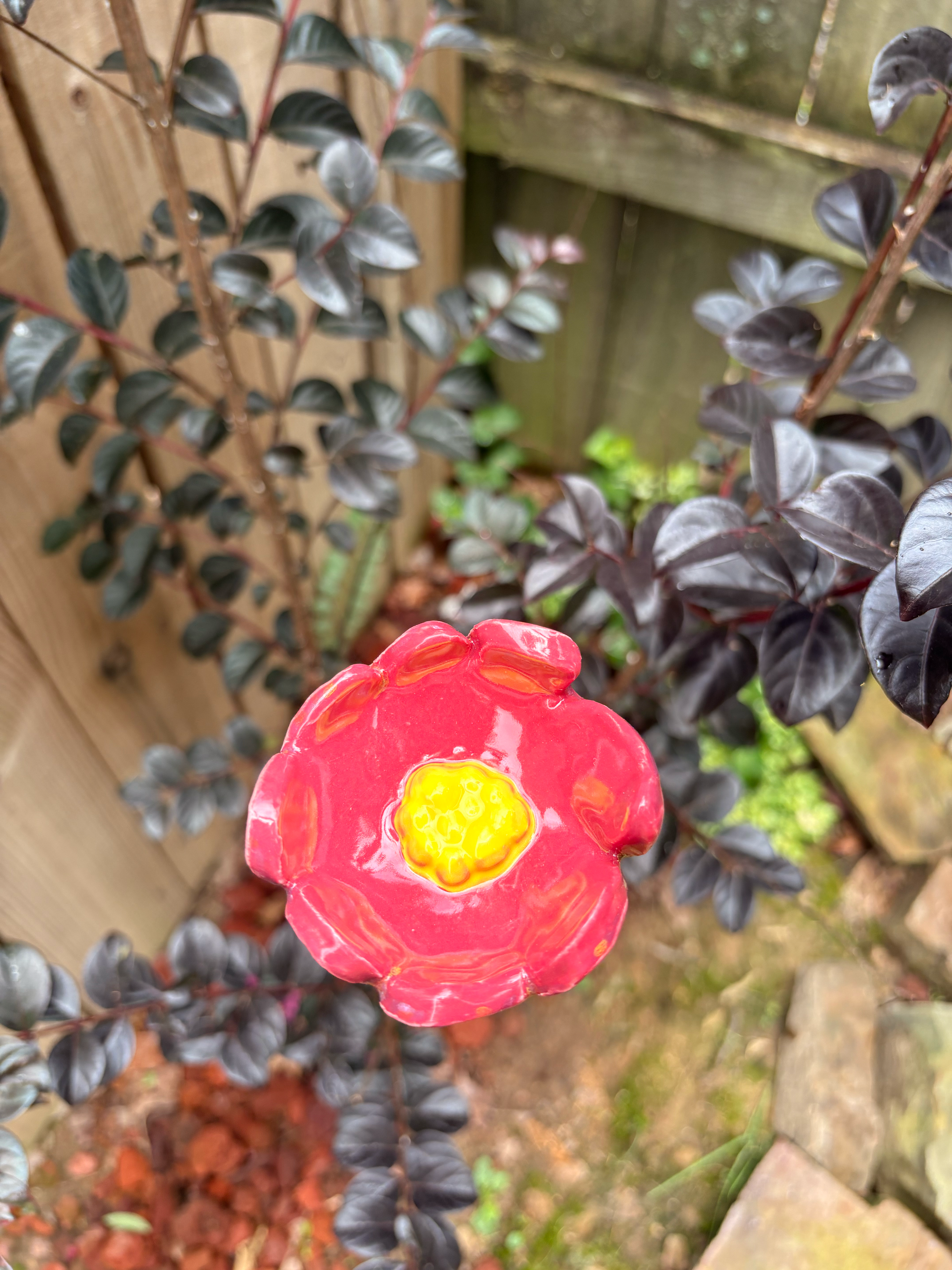 Floral Fantasy Pollinator Cup