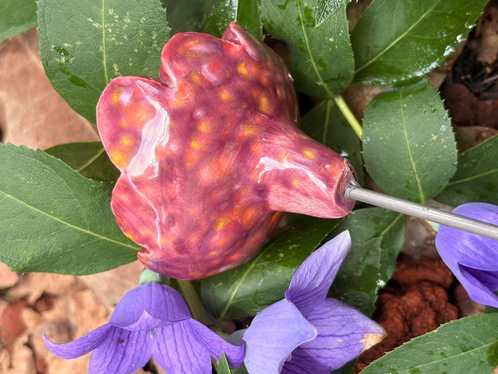 Floral Fantasy Pollinator Cup