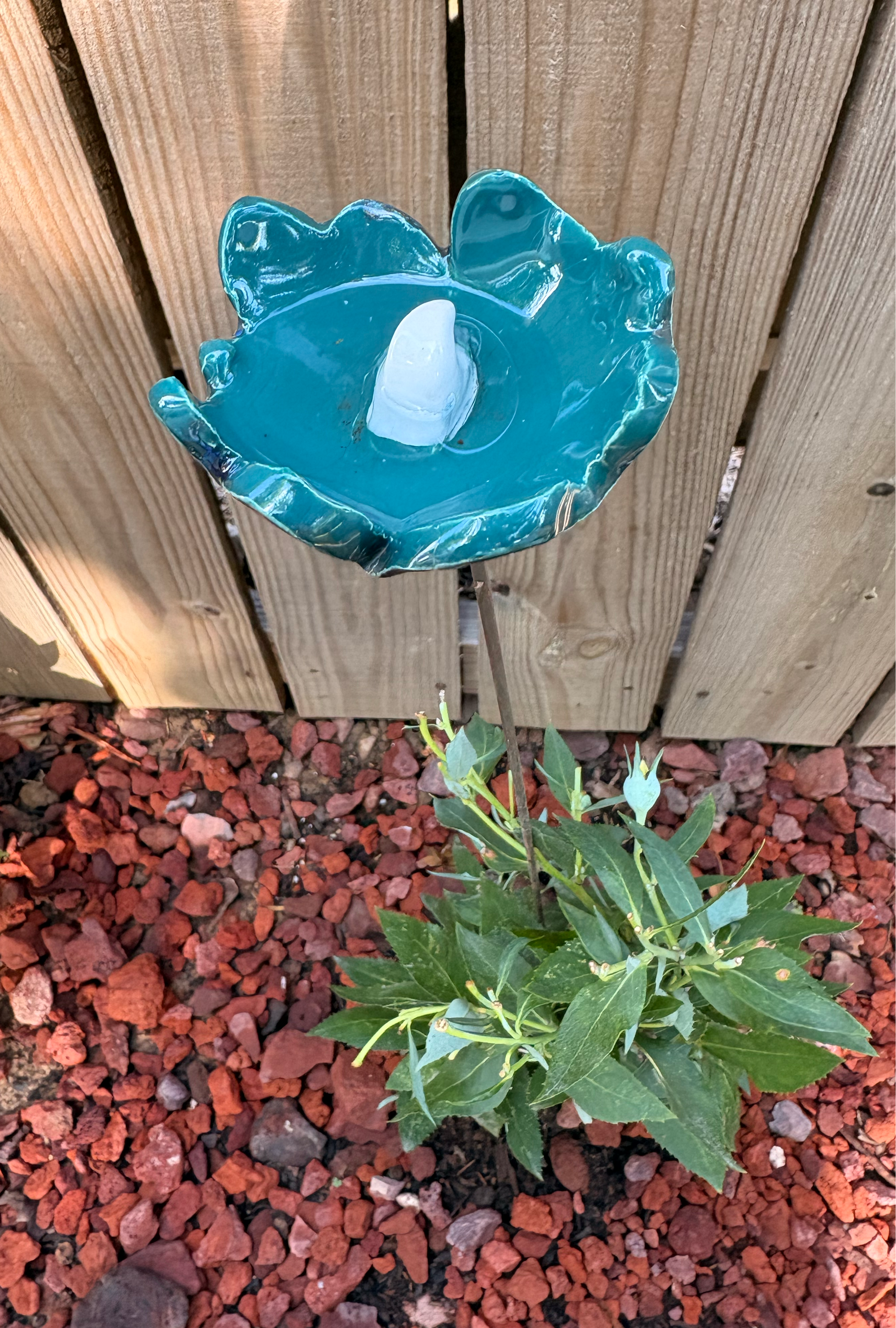 Blue Azure Pollinator Cup