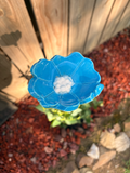 Tahiti Grape Pollinator Cup
