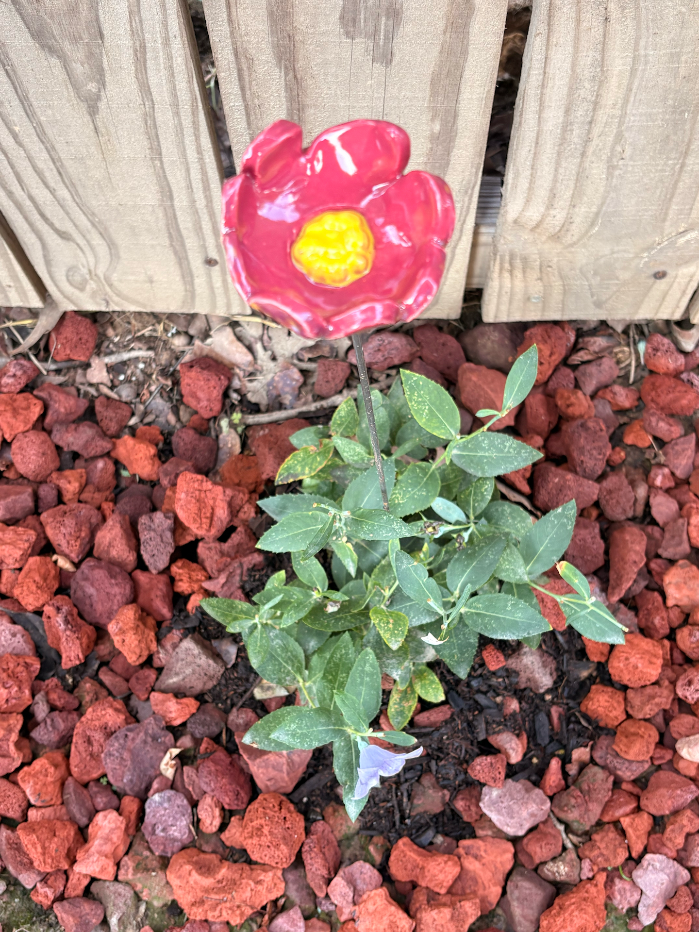 Floral Fantasy Pollinator Cup