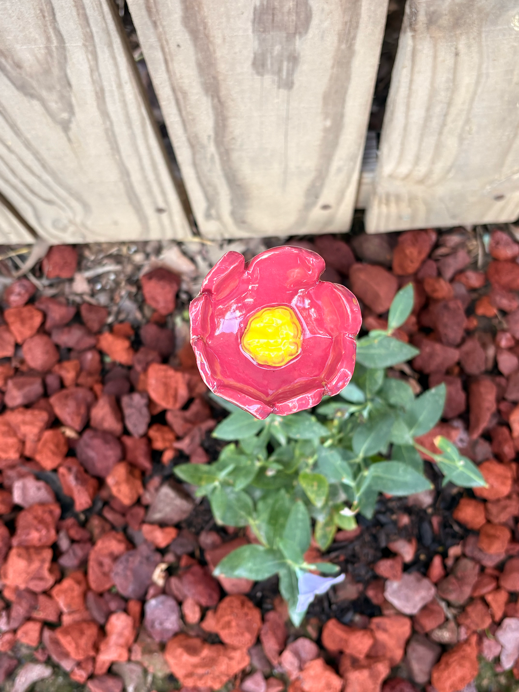 Floral Fantasy Pollinator Cup