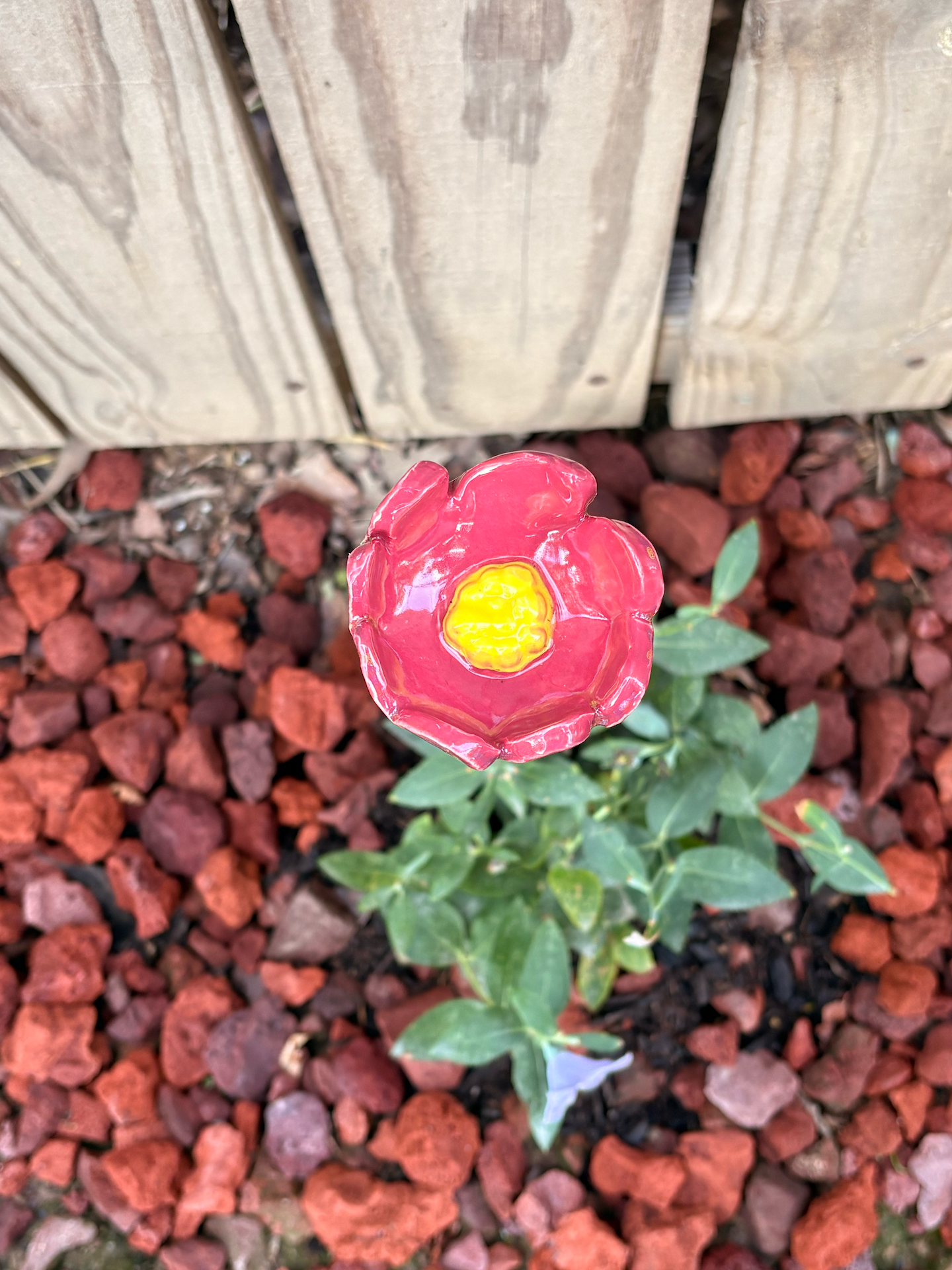 Floral Fantasy Pollinator Cup