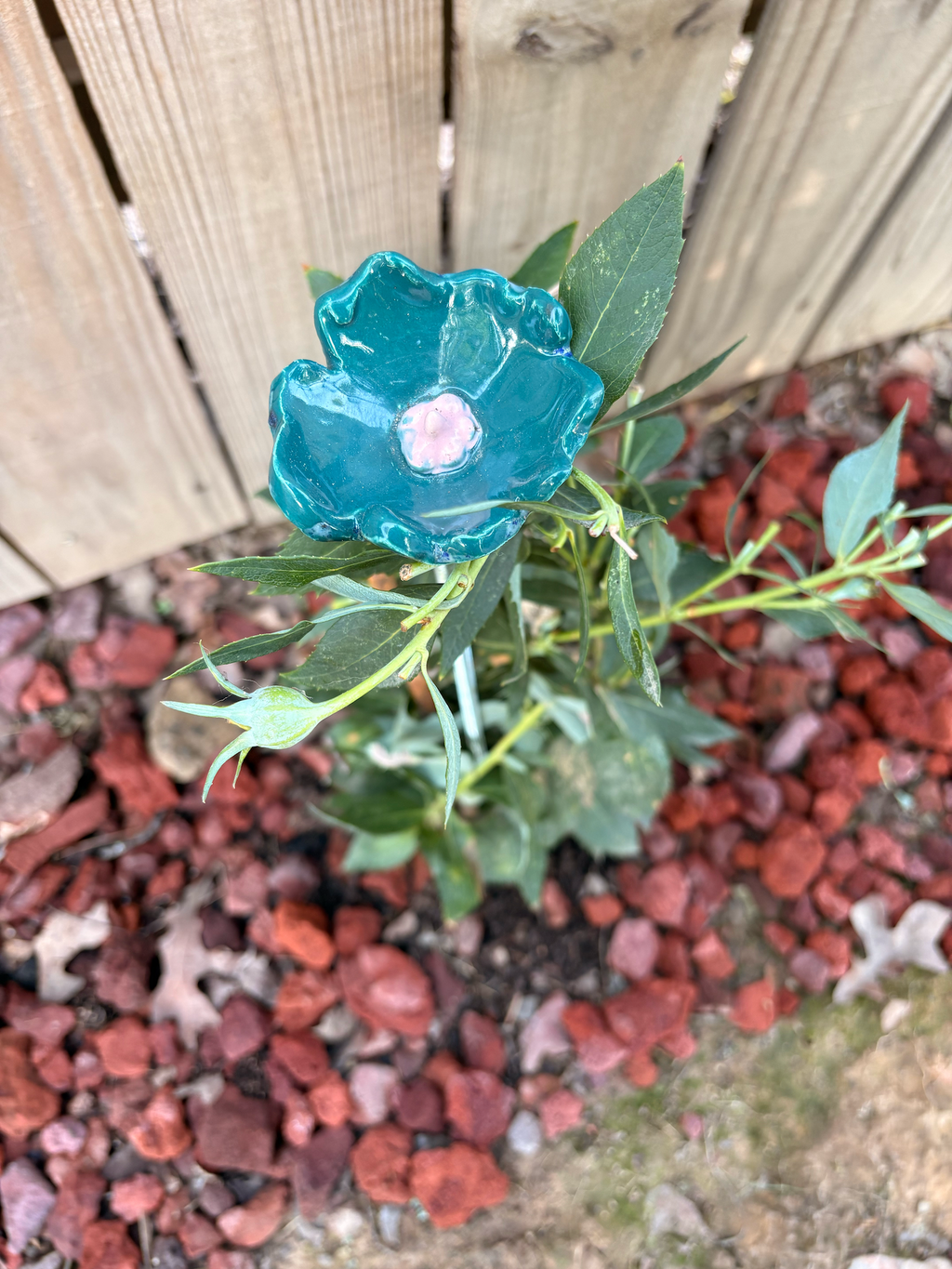 Sea Wind Pollinator Cup
