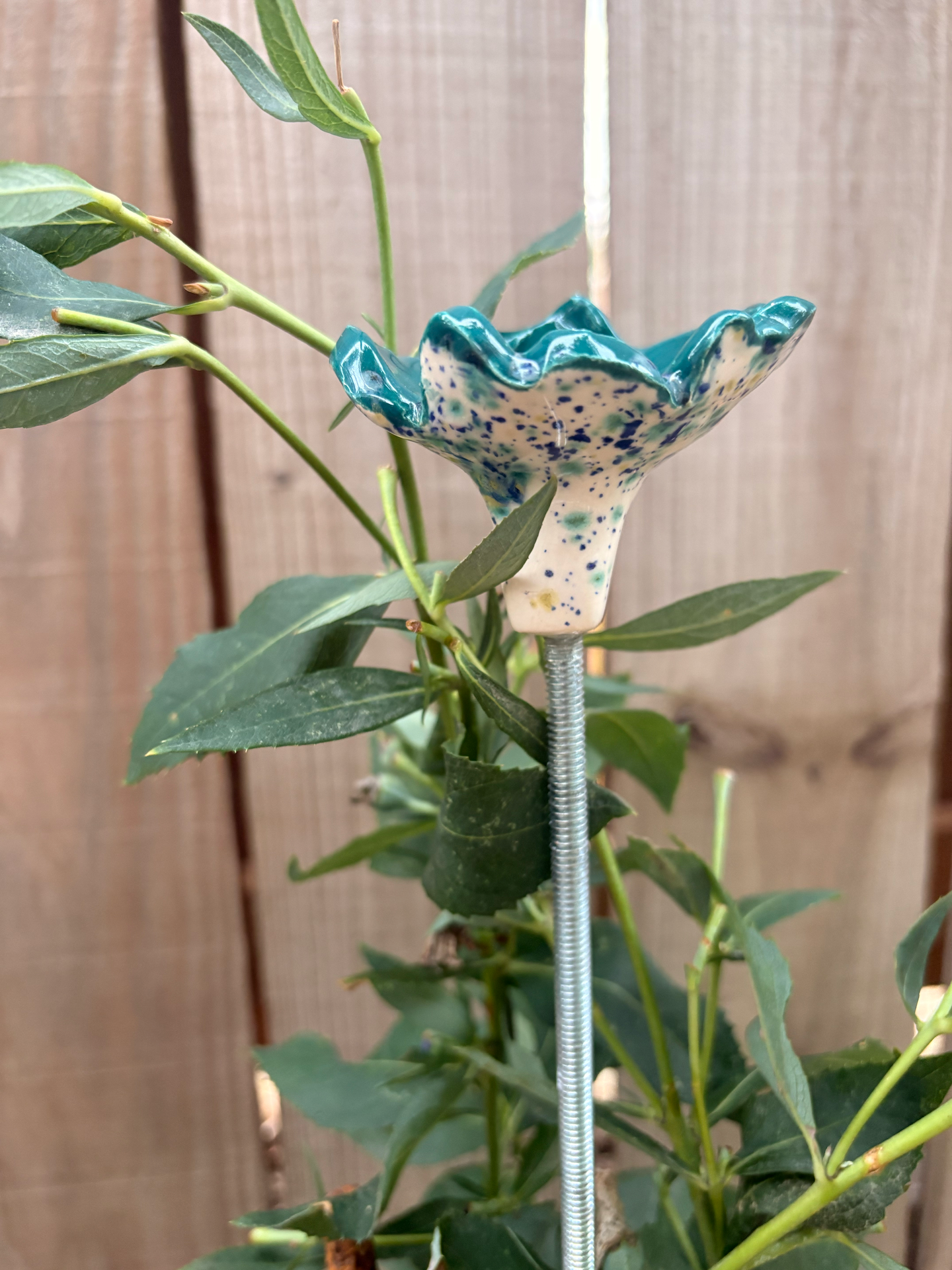 Sea Wind Pollinator Cup