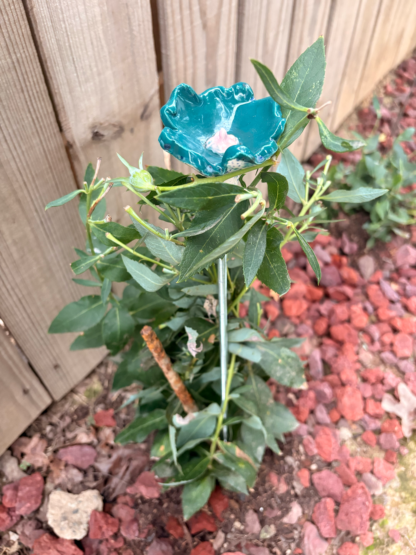 Sea Wind Pollinator Cup