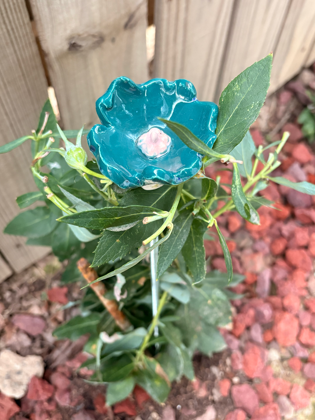 Sea Wind Pollinator Cup