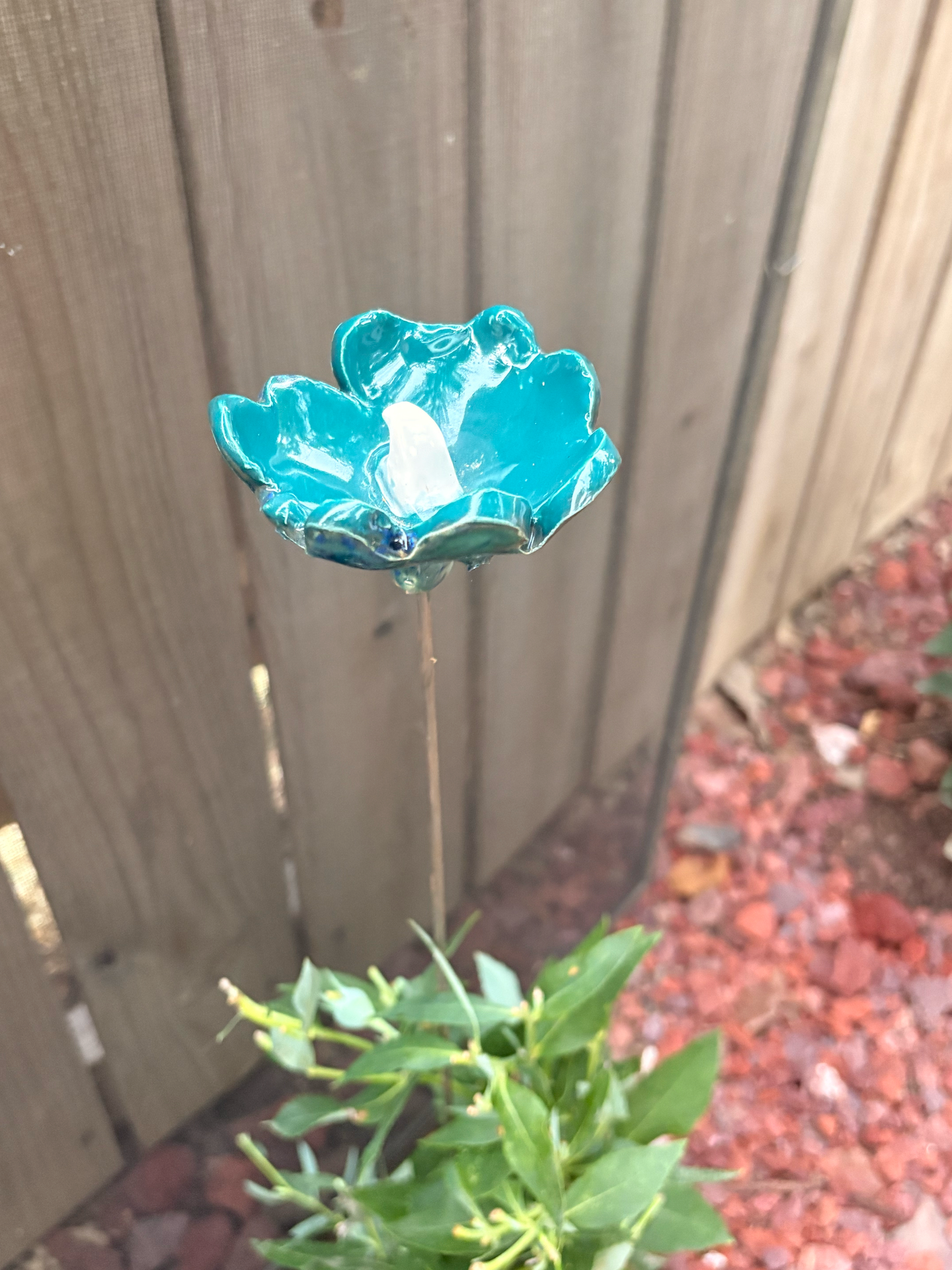 Blue Azure Pollinator Cup