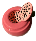 Dragonfruit Jar